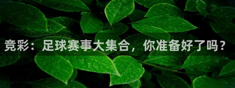 沙巴·体育