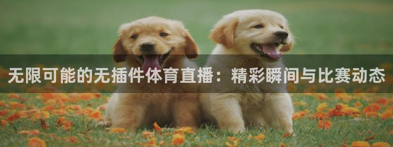 袋鼠直播体育免费观看：无限可能的无插件体育直播：精彩瞬间与比赛动态