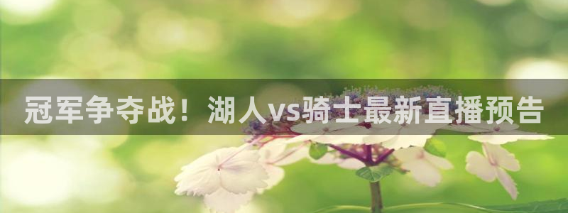 袋鼠直播体育在线直播：冠军争夺战！湖人vs骑士最新直播预告