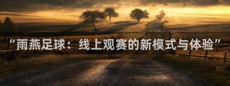 袋鼠在线直播体育：“雨燕足球：线上观赛的新模式与体验”