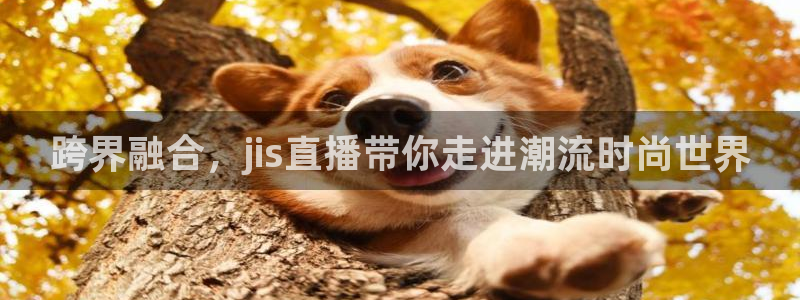 袋鼠体育在线直播：跨界融合，jis直播带你走进潮流时尚世界