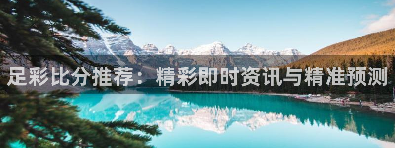 袋鼠nba直播在线观看：足彩比分推荐：精彩即时资讯与精准预测