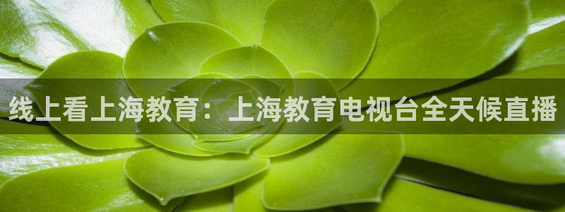 袋鼠直播体育免费直播：线上看上海教育：上海教育电视台全天候直播