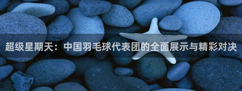 袋鼠直播在线观看：超级星期天：中国羽毛球代表团的全面展示与精彩对决