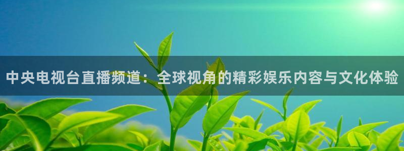 袋鼠直播足球：中央电视台直播频道：全球视角的精彩娱乐内容与文化体验