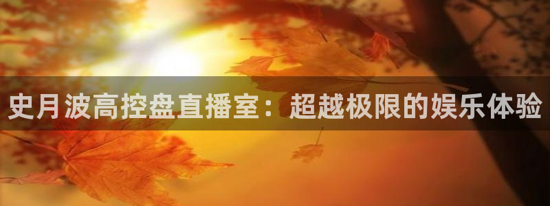 袋鼠直播在线观看：史月波高控盘直播室：超越极限的娱乐体验