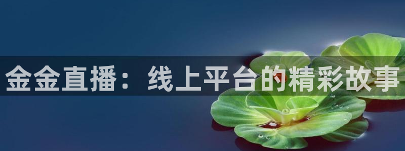 袋鼠体育直播nba：金金直播：线上平台的精彩故事