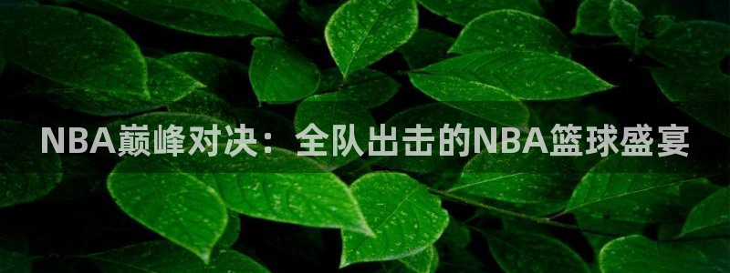 袋鼠直播体育在线直播：NBA巅峰对决：全队出击的NBA篮球盛宴