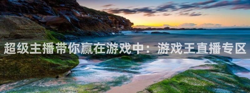 袋鼠体育免费直播观看：超级主播带你赢在游戏中：游戏王直播专区