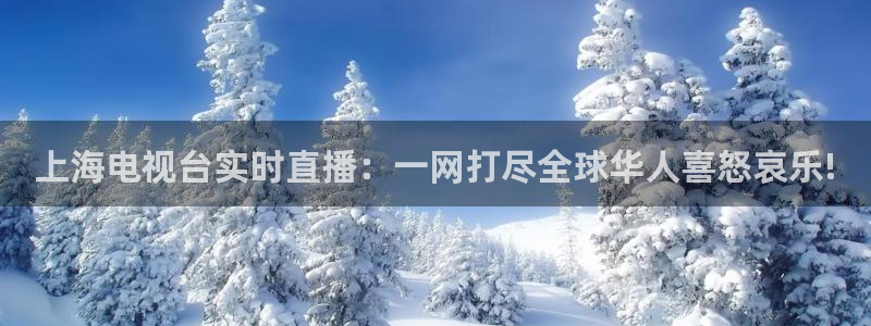 袋鼠体育免费观看：上海电视台实时直播：一网打尽全球华人喜怒哀乐!