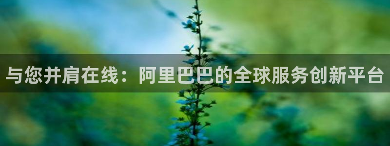 袋鼠nba体育直播：与您并肩在线：阿里巴巴的全球服务创新平台