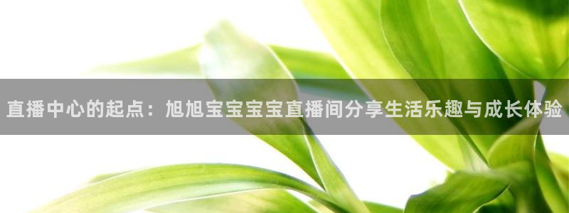袋鼠直播体育直播：直播中心的起点：旭旭宝宝宝宝直播间分享生活乐趣与成长体验