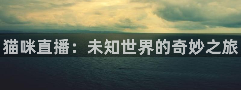袋鼠nba体育：猫咪直播：未知世界的奇妙之旅