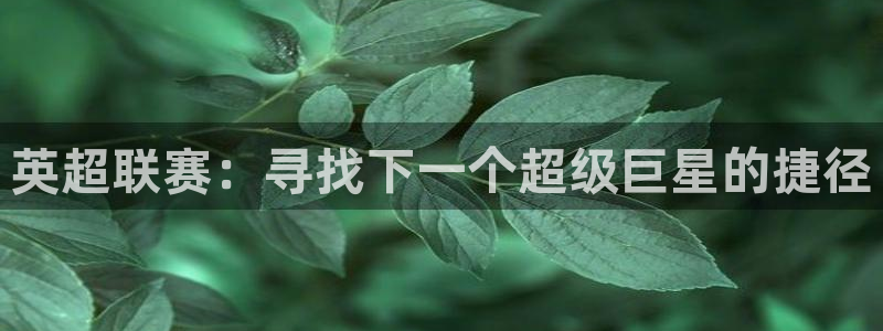 袋鼠直播体育在线直播：英超联赛：寻找下一个超级巨星的捷径