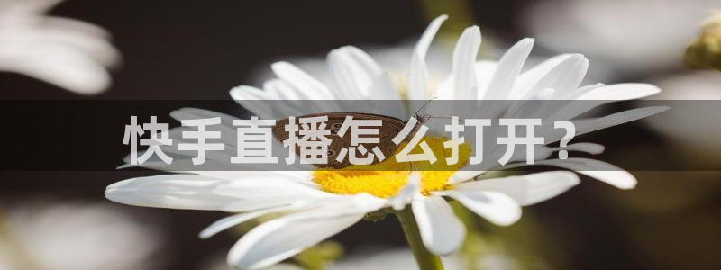 袋鼠直播在线播放：快手直播怎么打开？